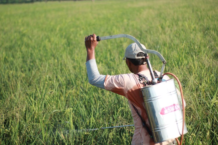 Man Spraying Field With Pesticides