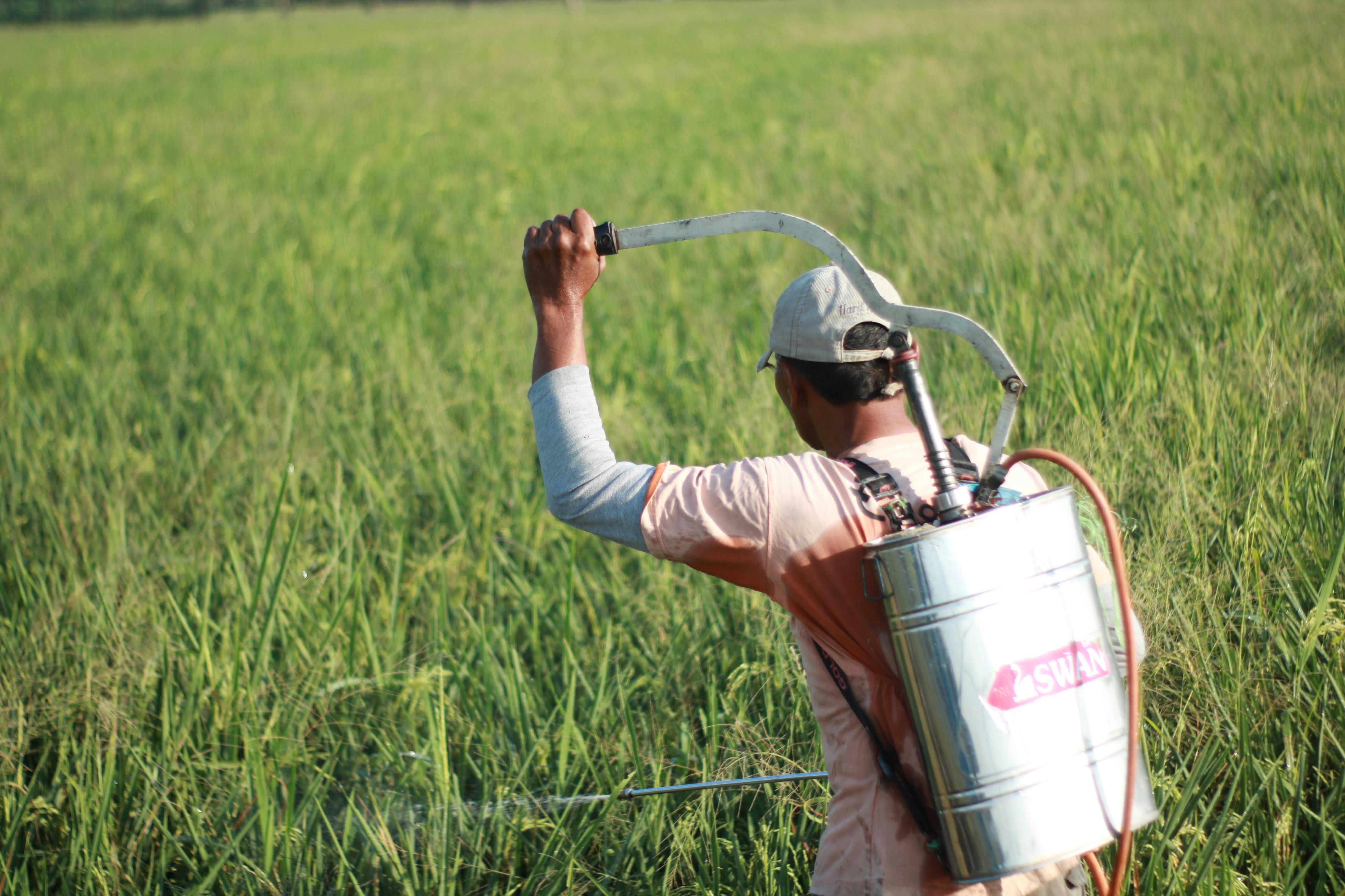 Understanding the Impacts of Pesticides on Wildlife thumbnail