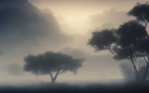Photos gratuites de arbres, brouillard, brumeux