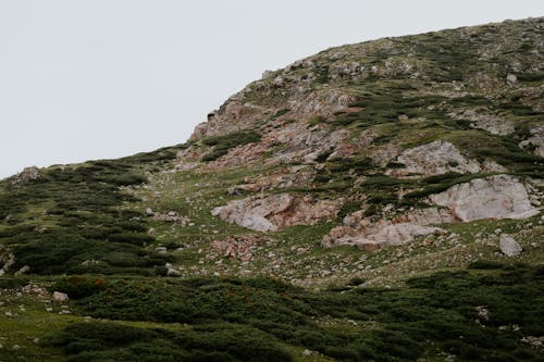 Landscape of a Rocky Mountain
