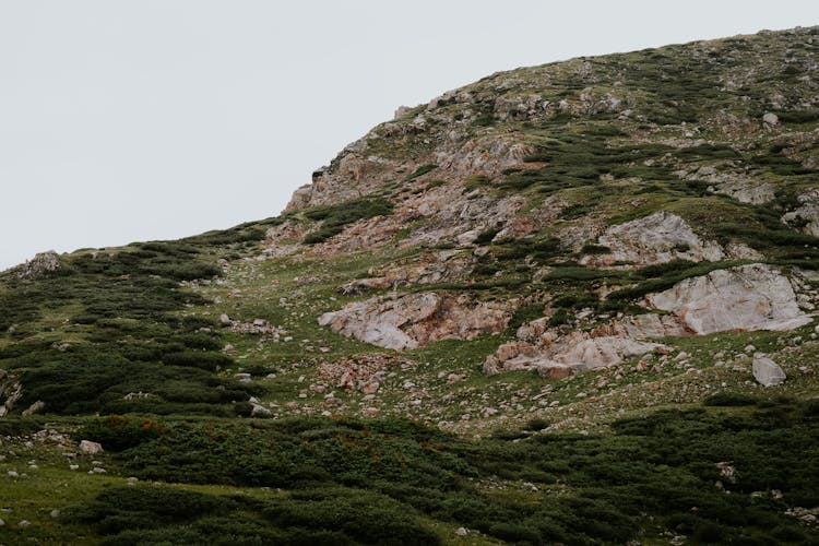 Landscape Of A Rocky Mountain