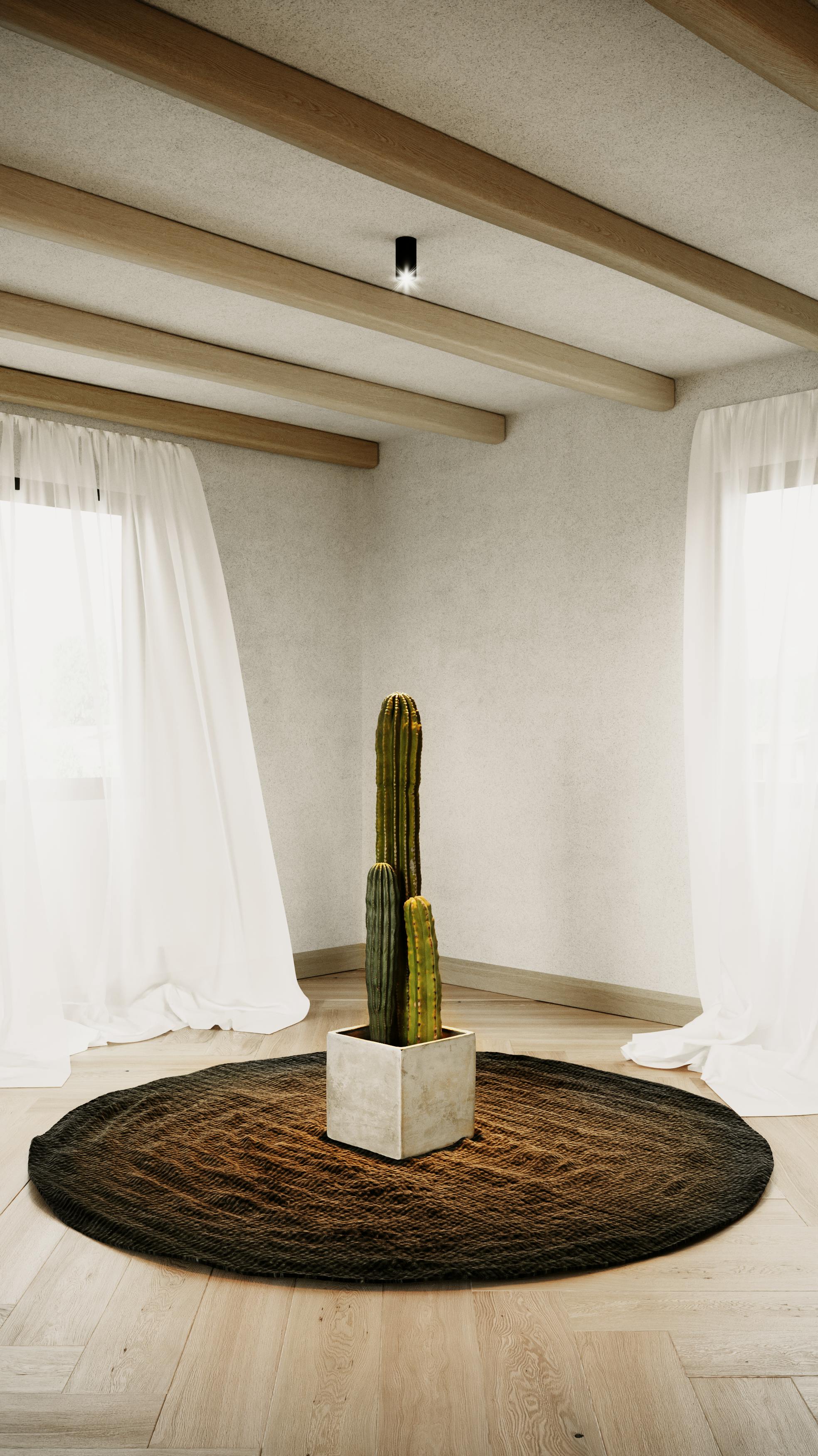 Elegant minimalist room featuring a cactus in a concrete pot, natural wood beams, and soft lighting.