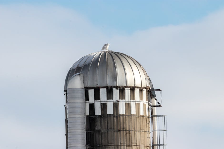 A metal silo with a silver dome stands against a bright blue sky, adorned by a perched bird.