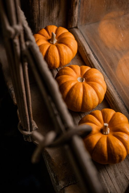 Free Three small pumpkins on a rustic wooden windowsill, perfect for autumn decor inspiration. Stock Photo