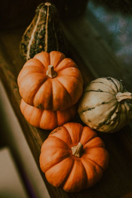 Vibrant pumpkins and gourds arranged on a wooden surface, perfect for autumn themes.