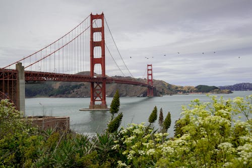 無料 ゴールデンゲートブリッジ, サンフランシスコ, ブリッジの無料の写真素材 写真素材
