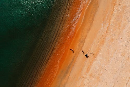 수역 근처 사람들의 그룹의 항공 사진