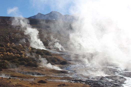 Tatio geysers at dawn — Atacama Desert