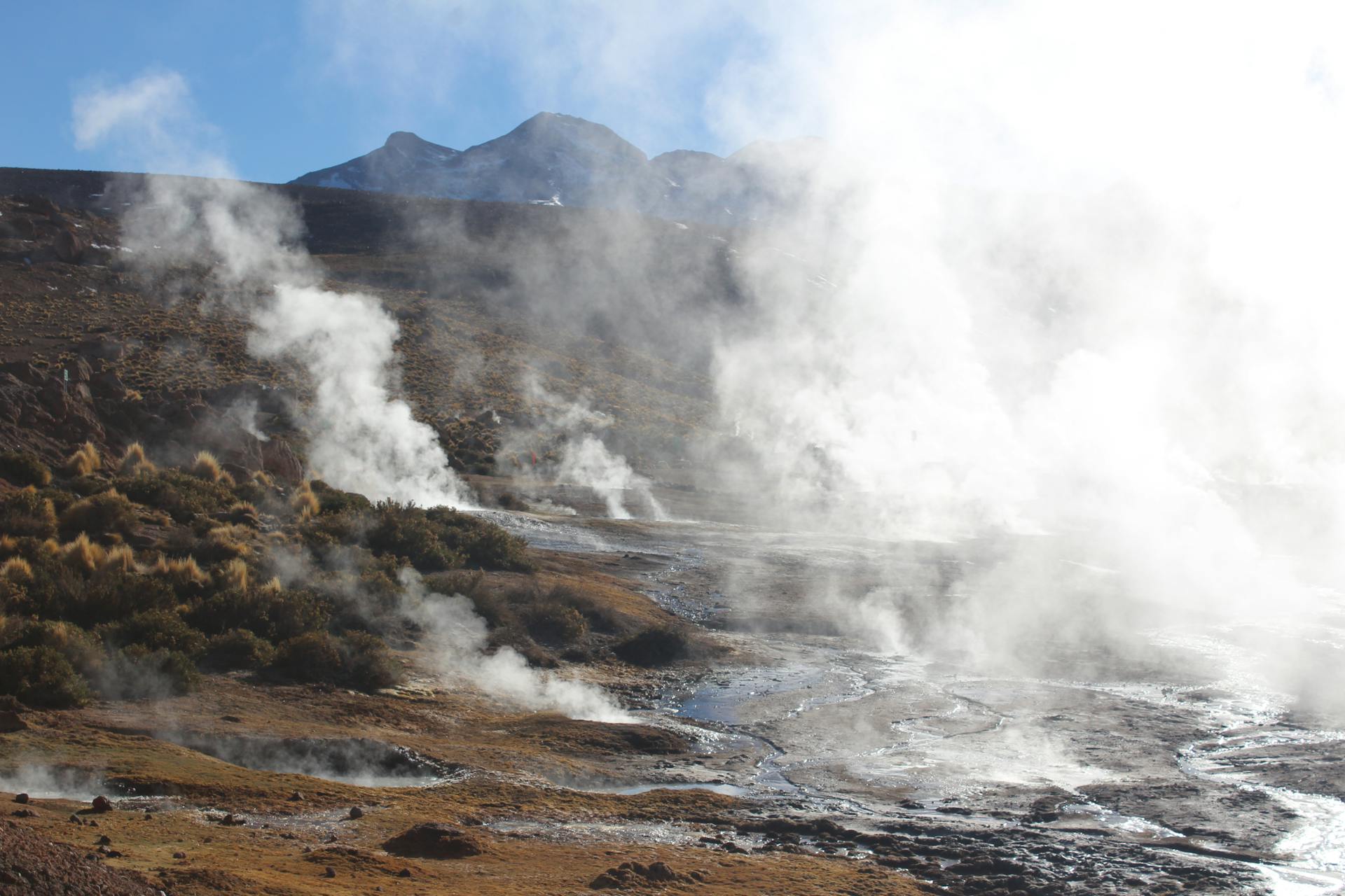 Geysers Del Tatio