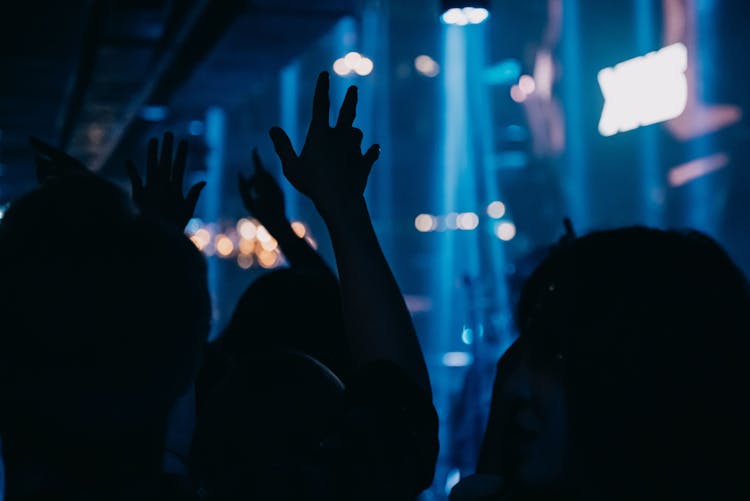 Silhouetted Audience At A Concert 