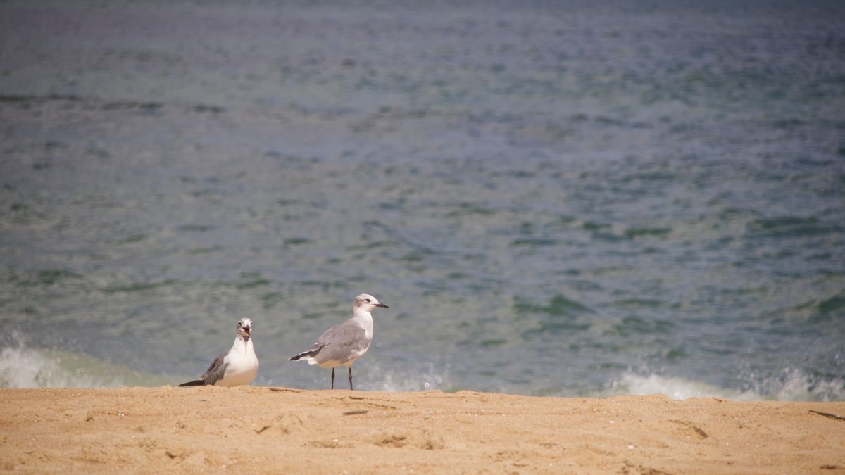 Best Tech Giveaways in Virginia Beach, VA: 2026 Local Guide