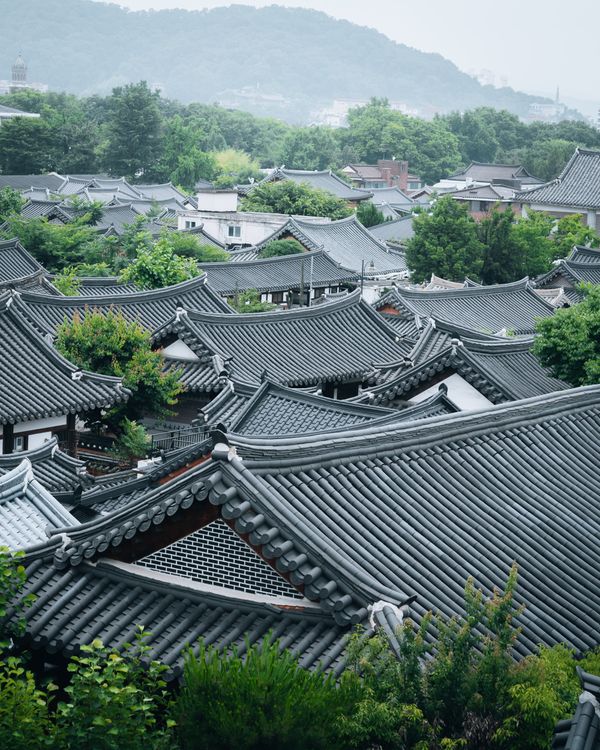 Asian Building Sytle Traditional Asian Buildings Rooftops · Free Stock Photo