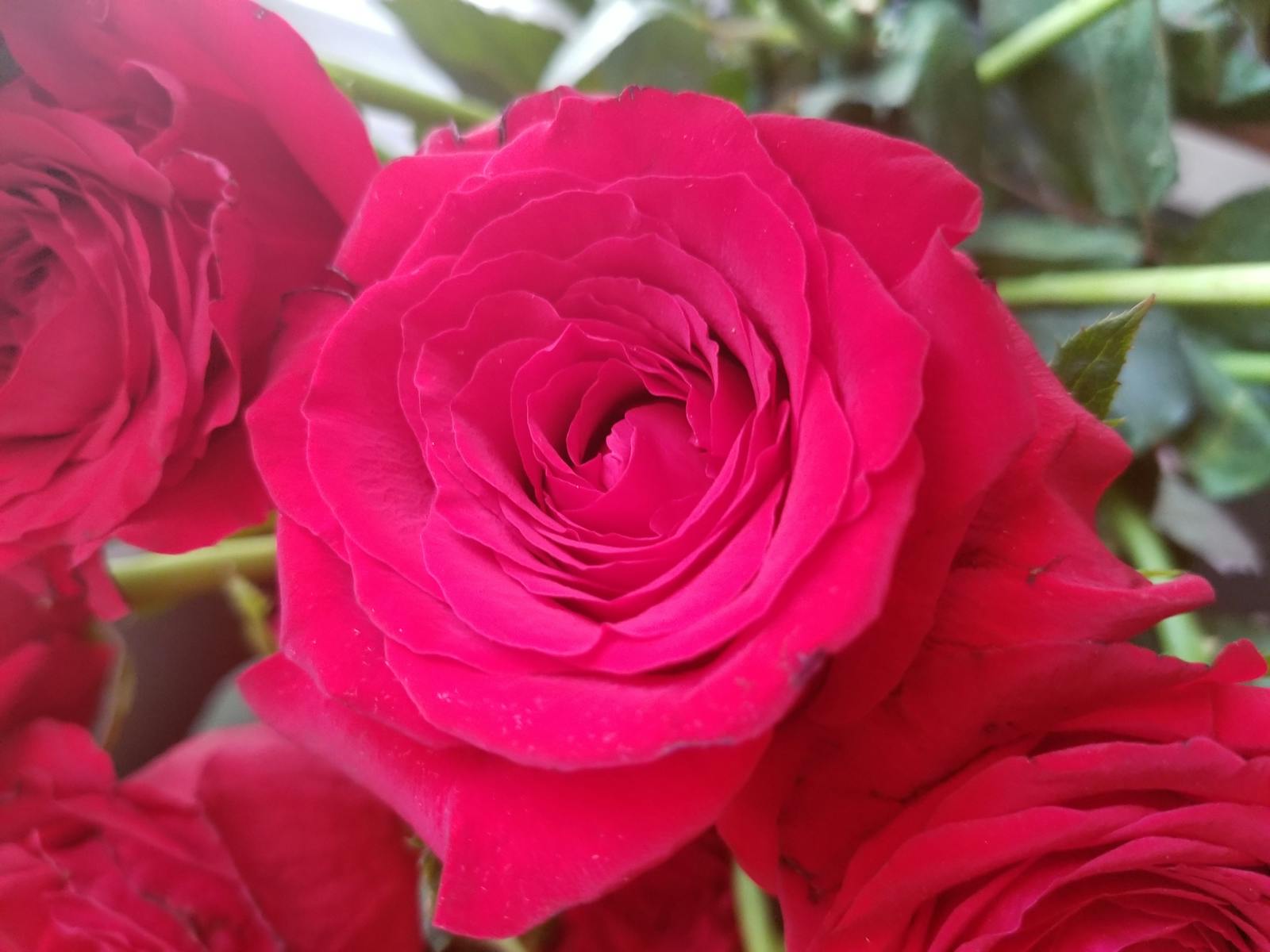 Grand Luxury Jewelry Design Studio