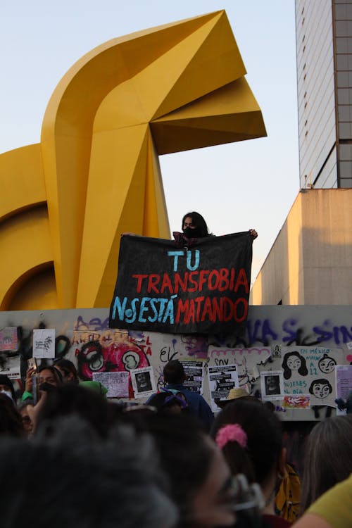 Foto profissional grátis de ação, amontoado, banners