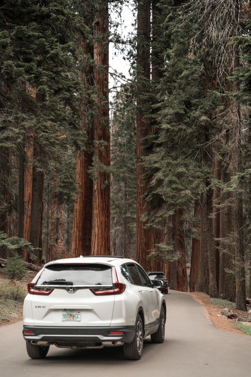 2024 Honda CR-V Sixth generation