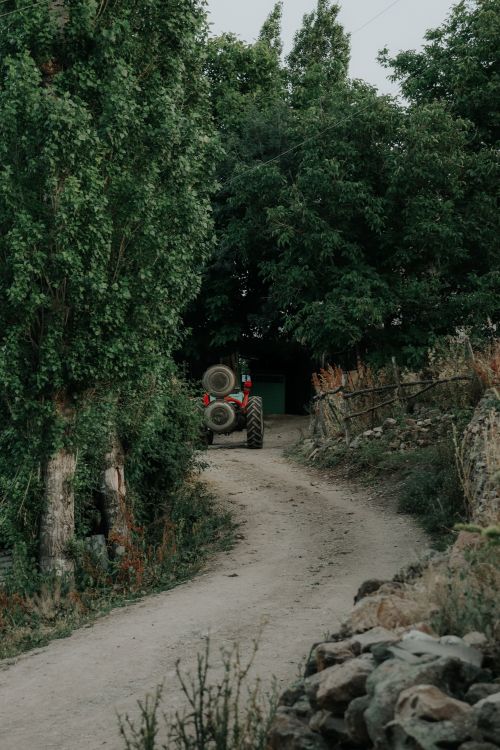 Free A tractor navigates a winding dirt road surrounded by lush green trees in a rural countryside setting. Stock Photo