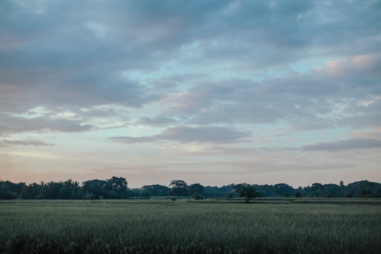 Wide Angle Shot  Of A Farm Field