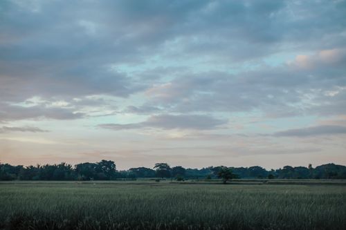 Free Tranquil rural farmland at dusk with expansive sky and clouds, capturing nature's serene beauty. Stock Photo