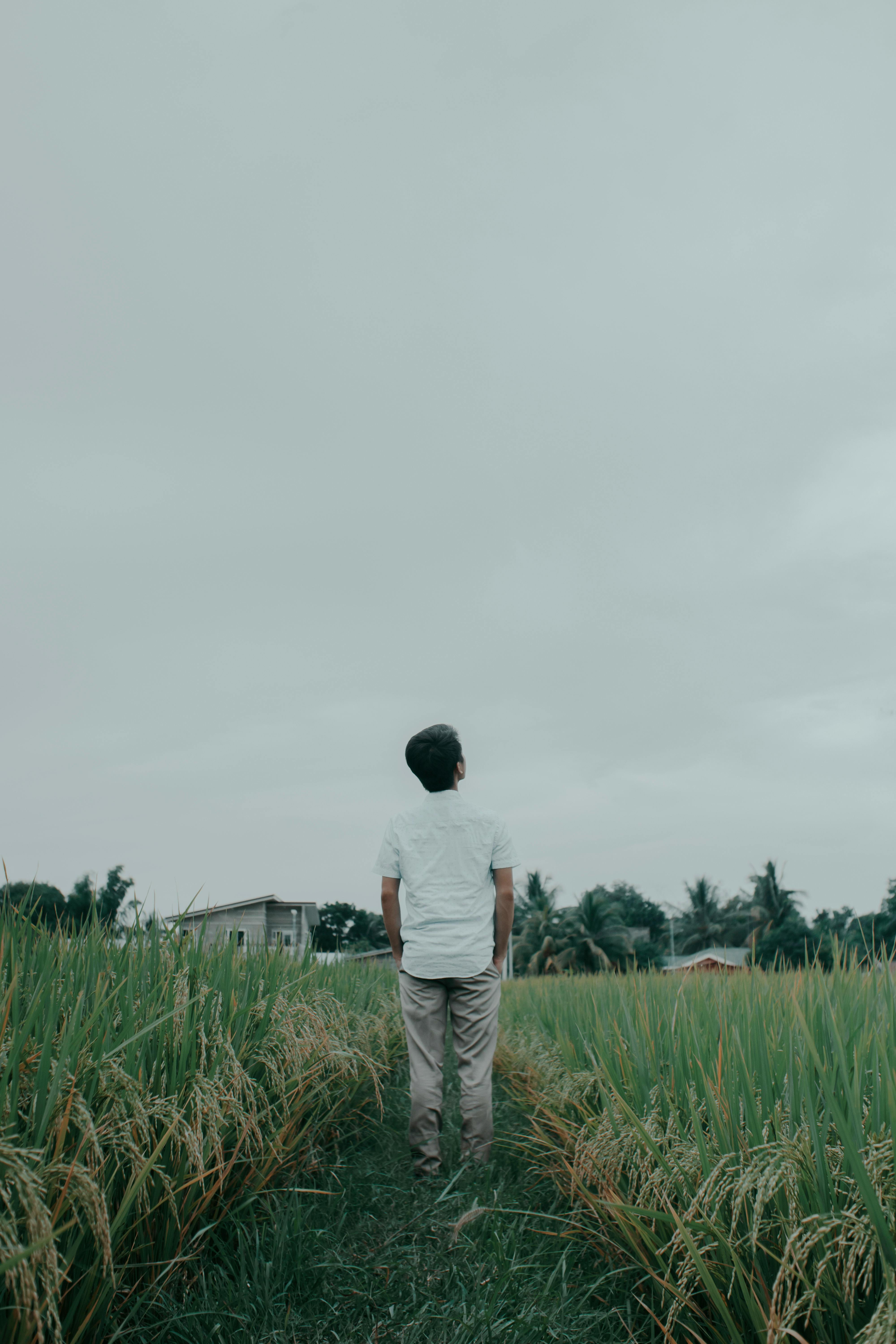Person in a field looking upward to the sky