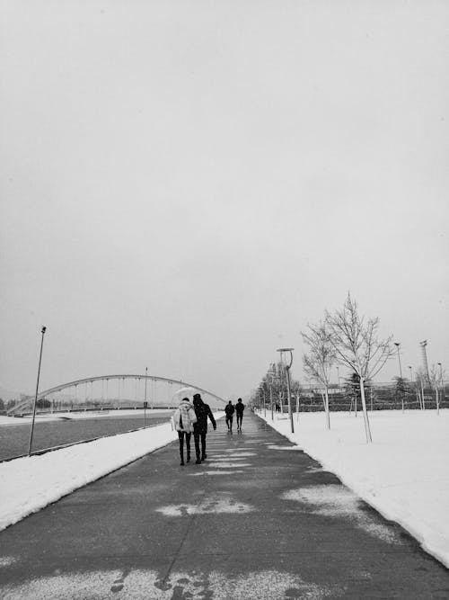 人行道, 冬季, 單色 的 免费素材图片