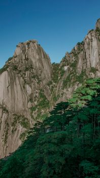 Majestic cliffs with vibrant forest backdrop under a clear blue sky. Perfect for nature enthusiasts.