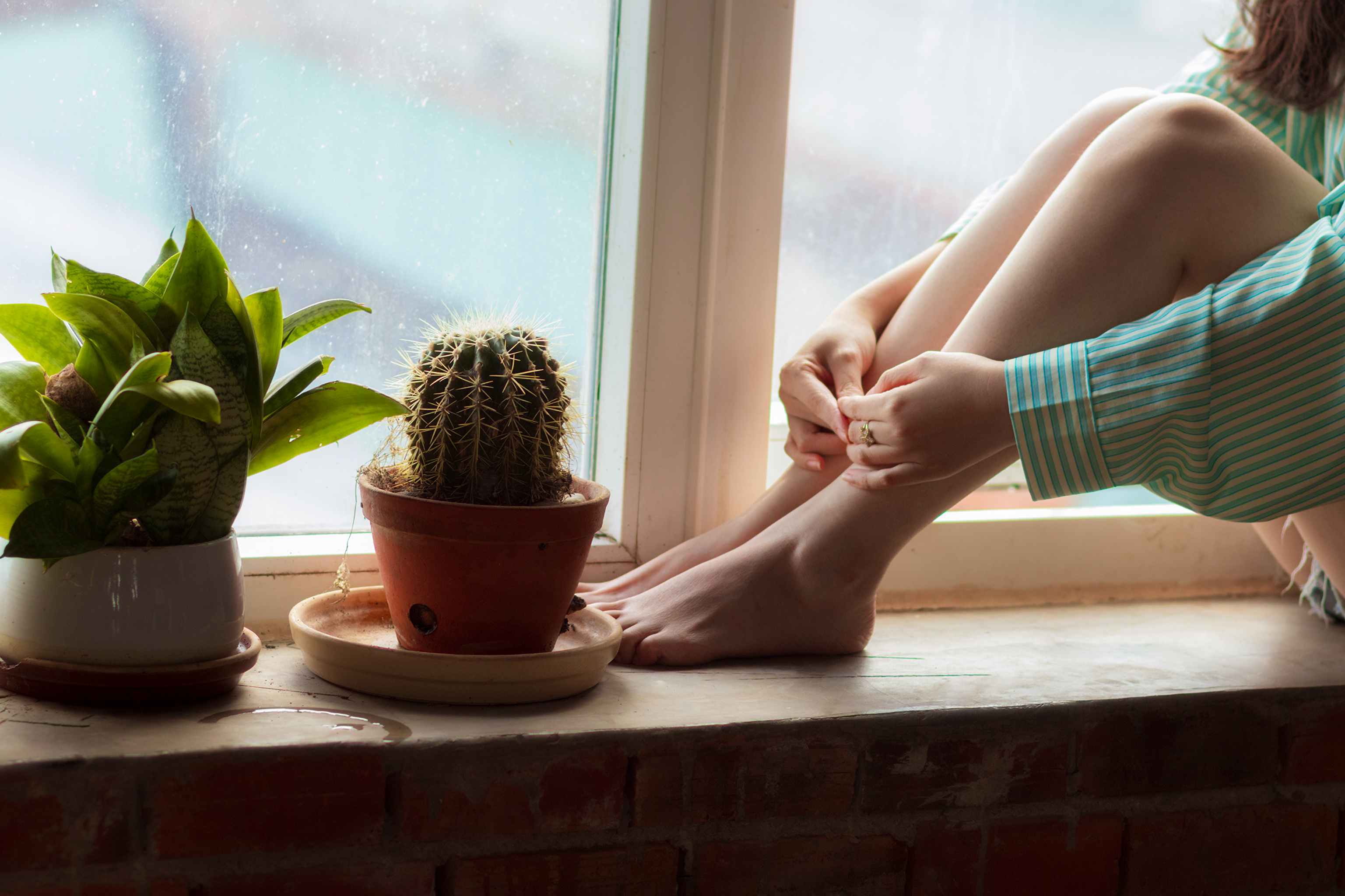 A serene windowsill with potted cactus and a person sitting nearby, evoking a tranquil atmosphere.
