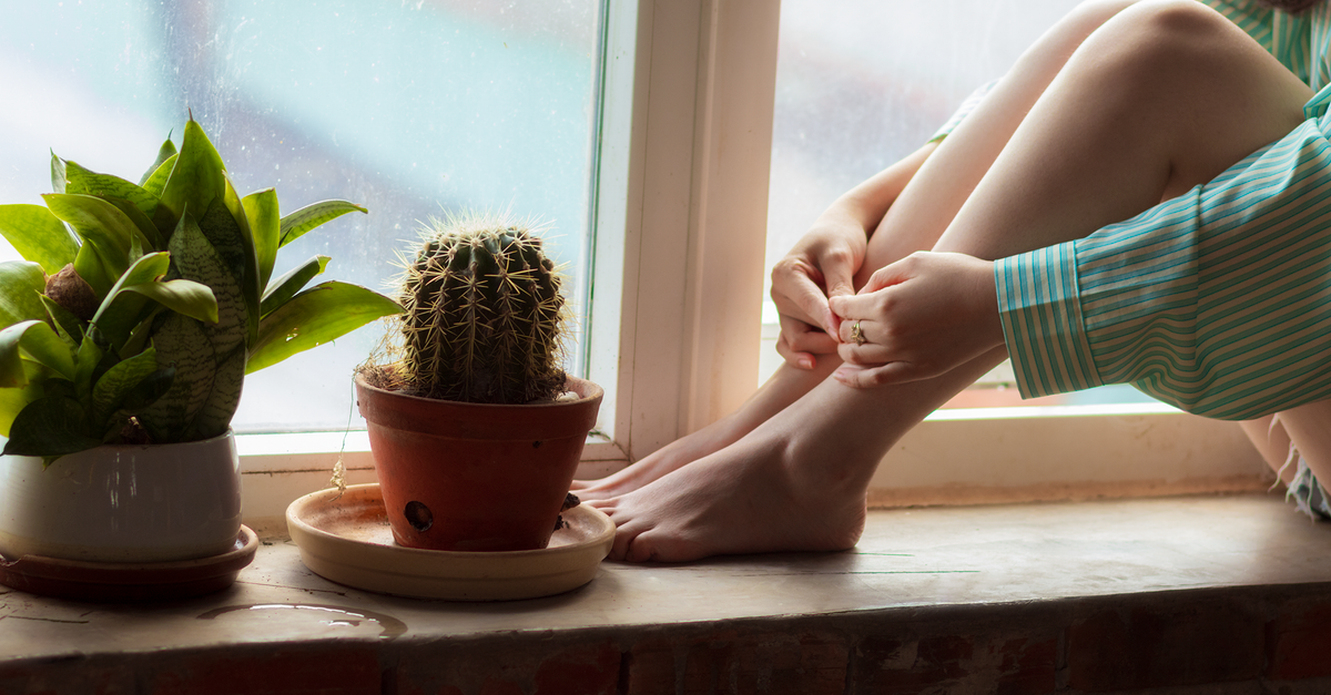 A serene windowsill with potted cactus and a person sitting nearby, evoking a tranquil atmosphere.