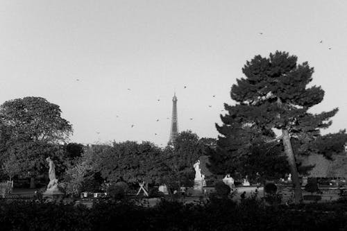 Foto d'estoc gratuïta de blanc i negre, camp de mars, champ de mars