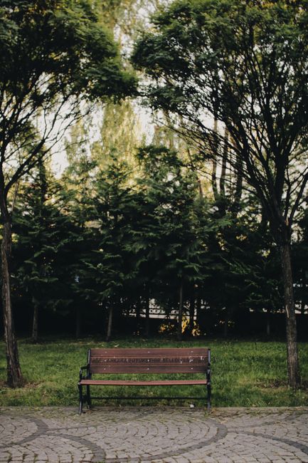 Empty park bench surrounded by green trees, ideal for relaxation and reflection.