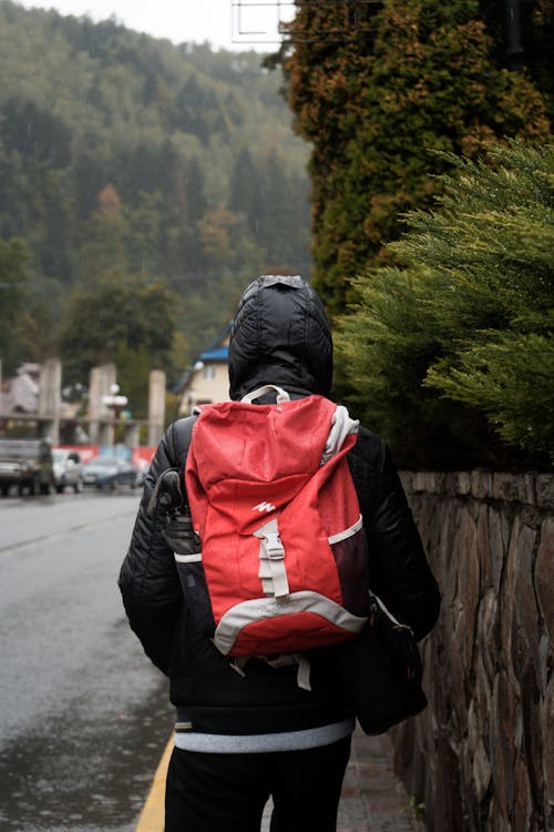 Foto profissional grátis de alforje, carregando, mochila