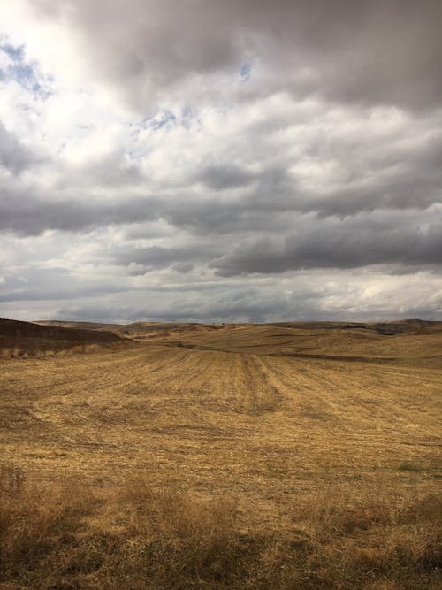 Photo of Brown Grassfield Under Cloudy Sky
