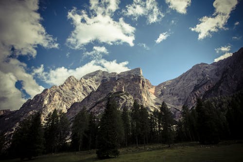 Green Pine Trees Near Brown Mountain Under Blue Sky