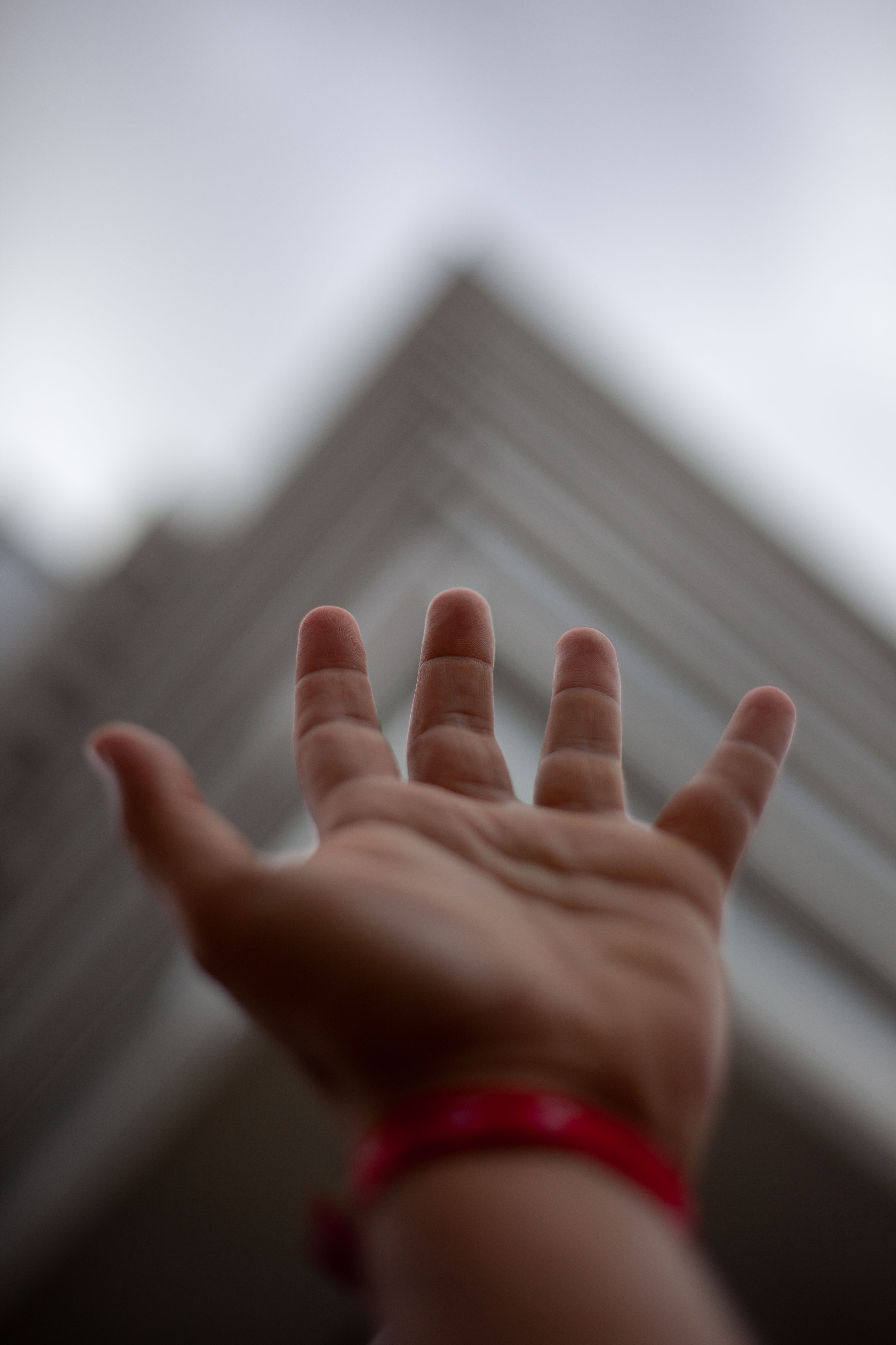 Close-up Photo of a Hand · Free Stock Photo
