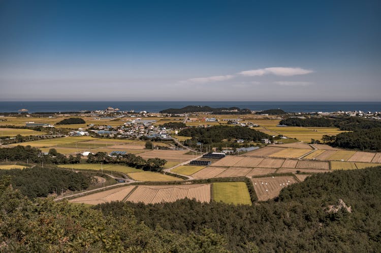 Drone Photography Of Land Near Sea 