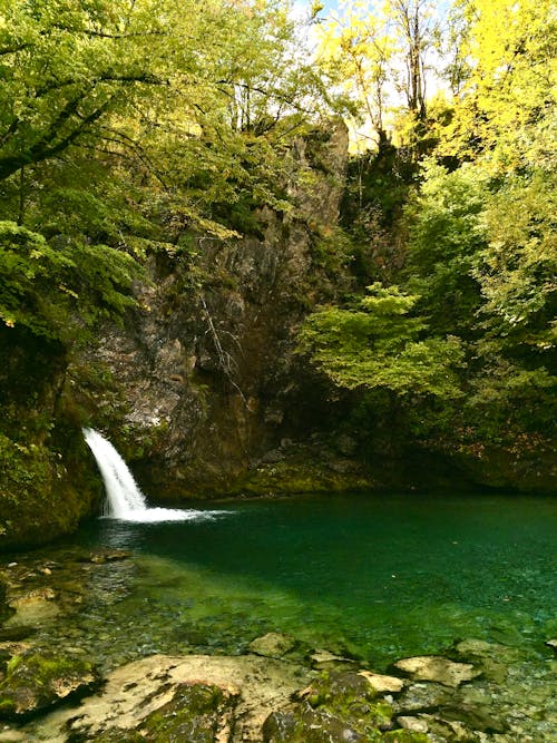 Foto profissional grátis de árvores, cachoeira, corrente