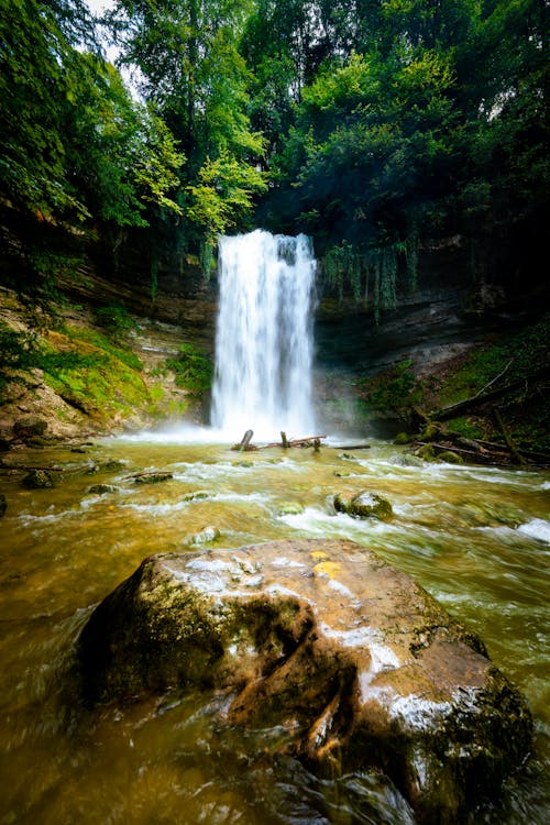 Cascade Descending in Forest