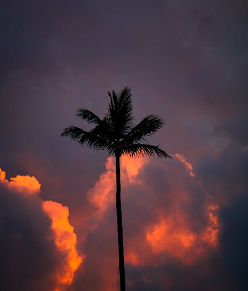 Free stock photo of beach sunset, beautiful sunset, cloud