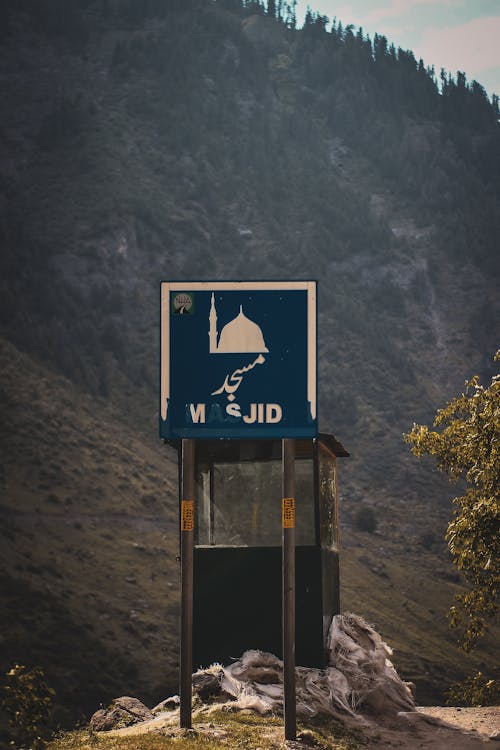 Immagine gratuita di foglie verde scuro, fotografia di paesaggio, grande moschea