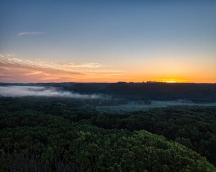 Aerial view of the Maiden Rock forest during a breathtaking sunrise in Wisconsin.