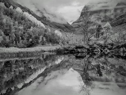 Gratis lagerfoto af bjerg, efterår, Norge