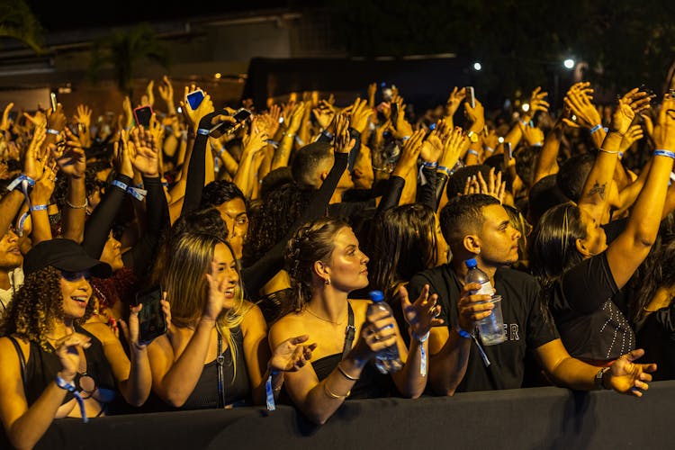 Crowd Of People With Their Hands Up