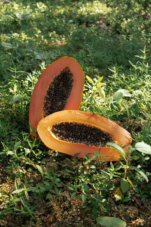 Halved Papaya Lying on the Ground