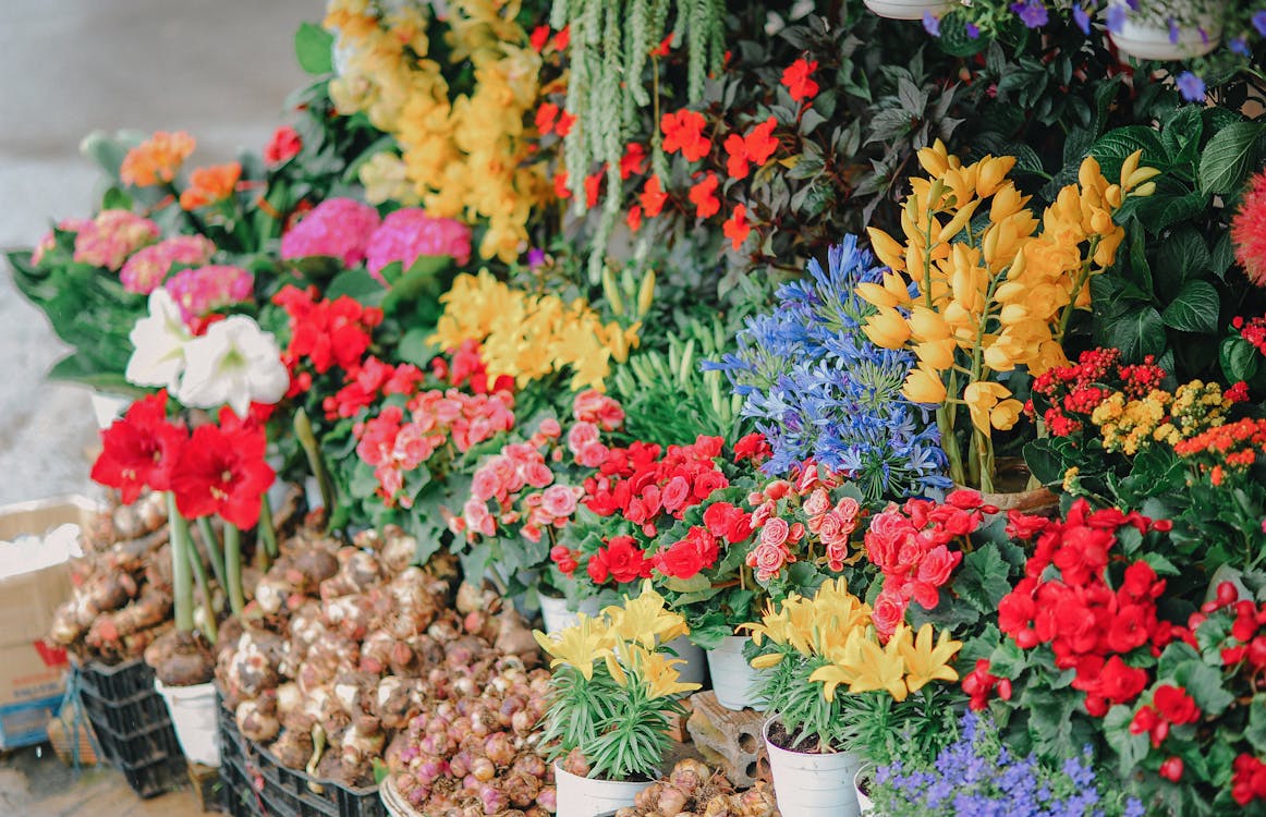 Free Assorted Flowers on Crates Stock Photo