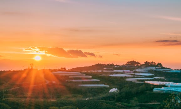 郁郁葱葱的乡村、广阔的田野和远处的山脉，都被美丽的日落笼罩着