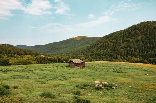 Free A solitary wooden hut stands nestled in a lush green meadow surrounded by rolling forested hills under a clear sky. Stock Photo