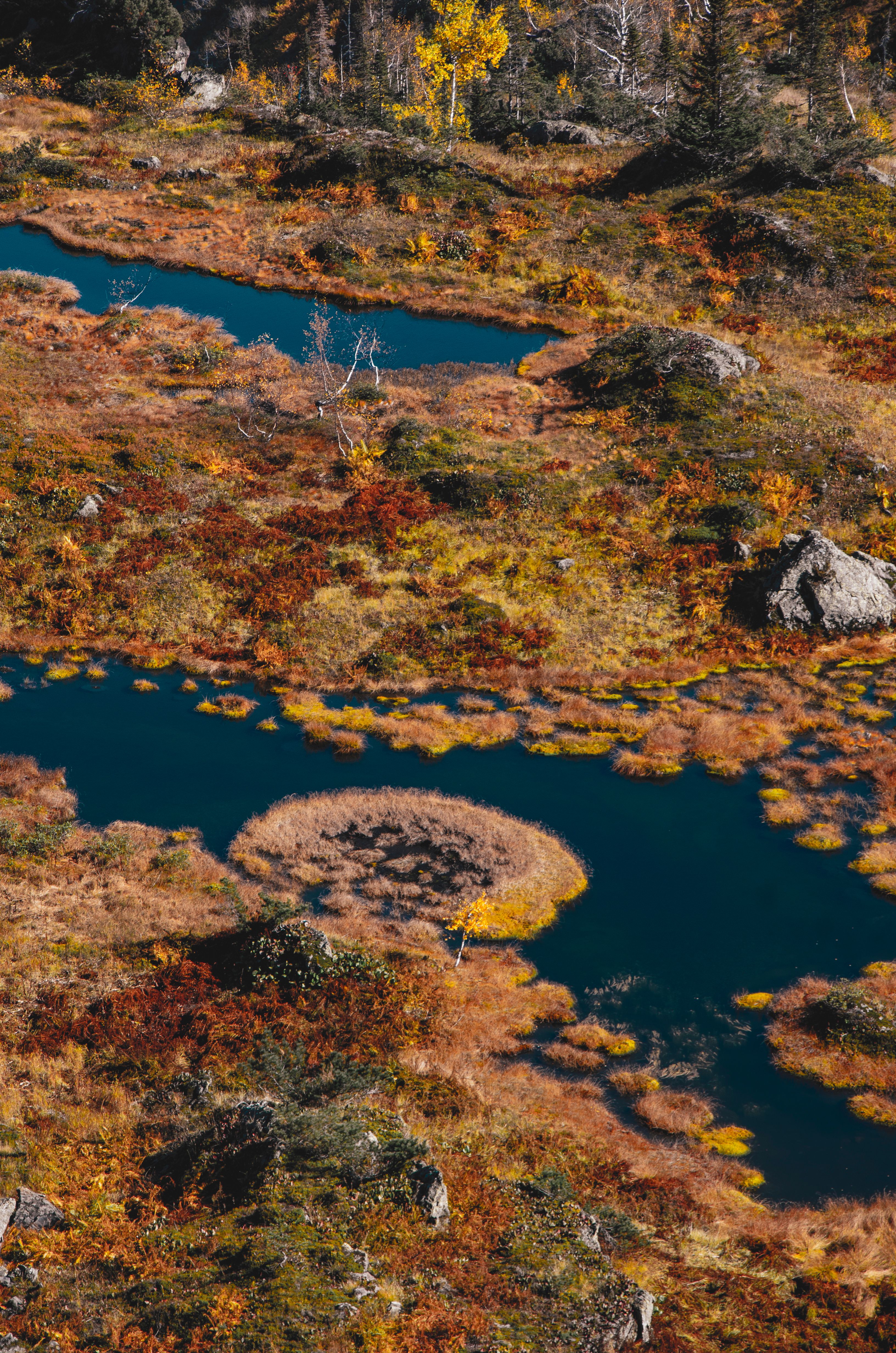 Scenic aerial shot of a vibrant autumn landscape showcasing winding streams and colorful foliage.