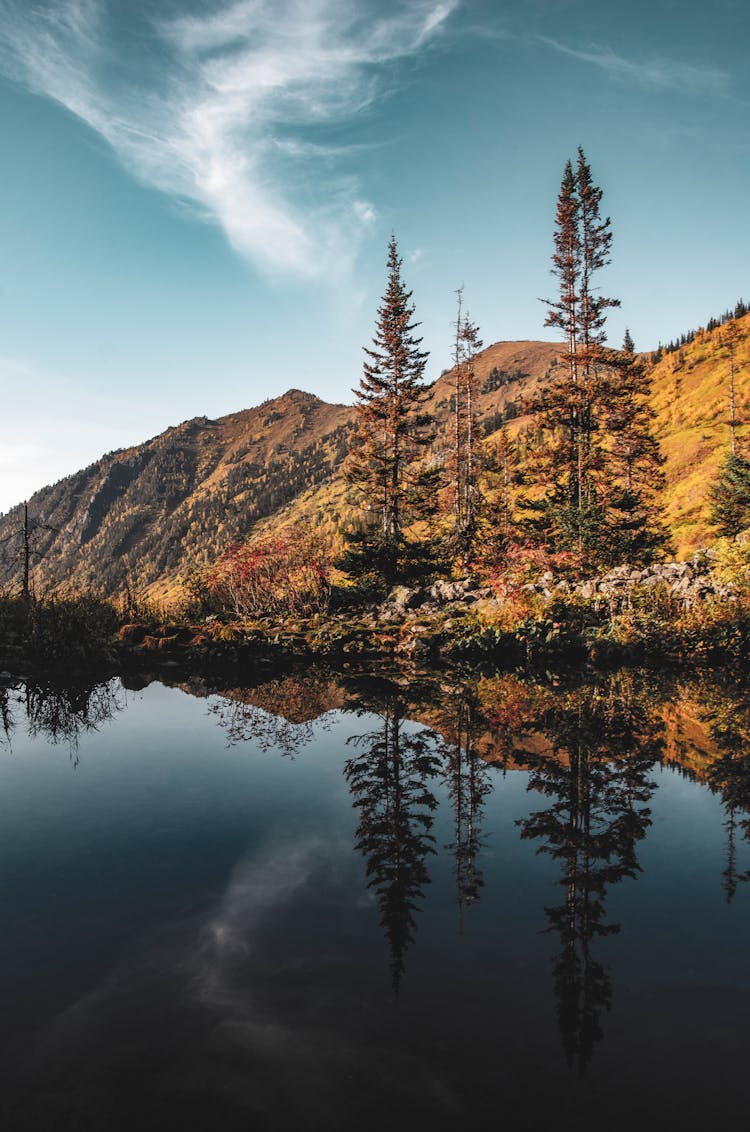 Mountains And Trees By A Lake