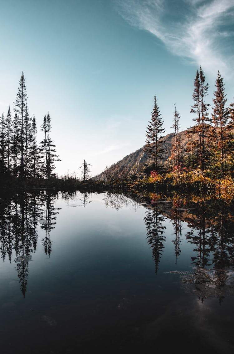 Lake Reflecting Trees And A Mountain