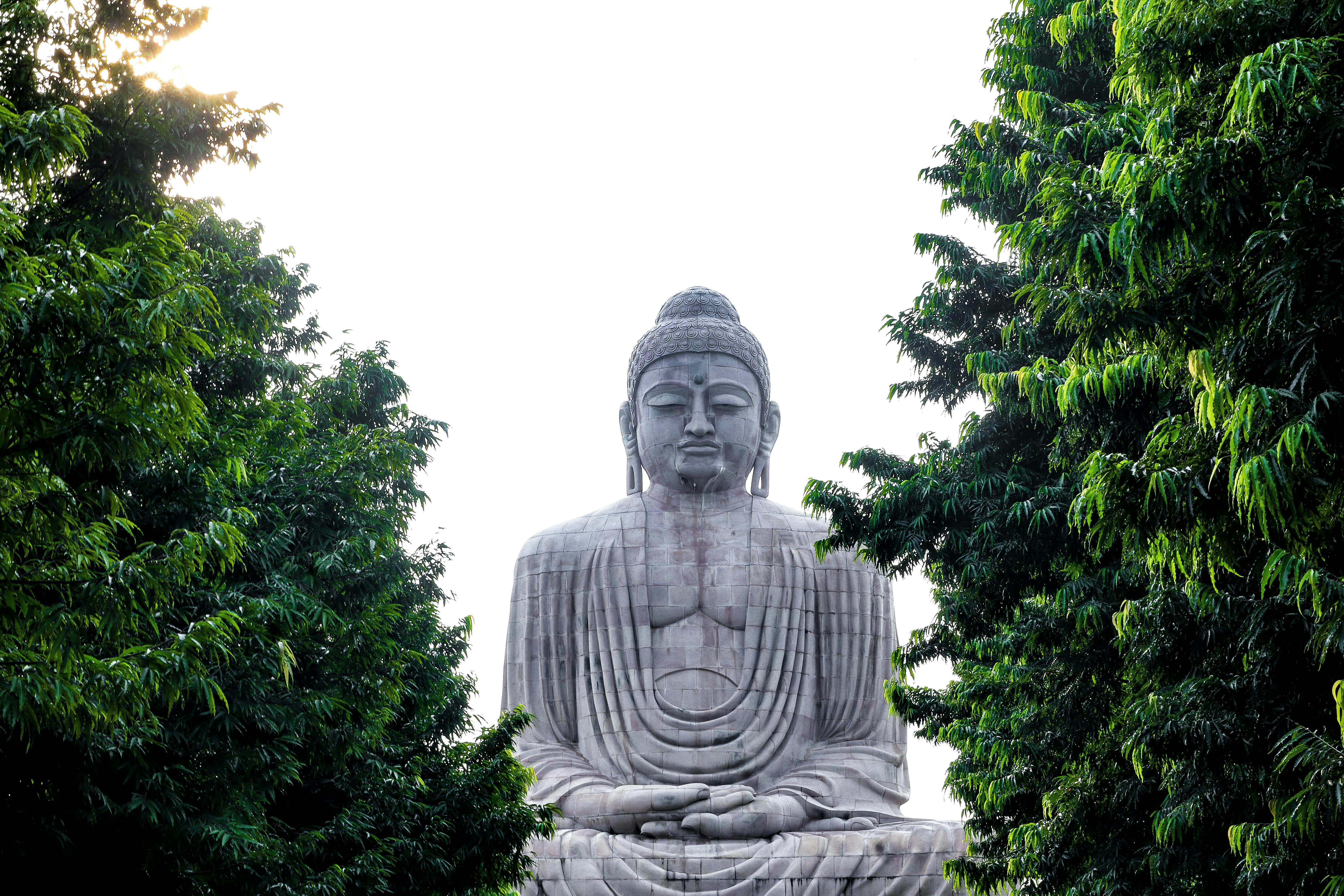 the great buddha statue in bodh gaya