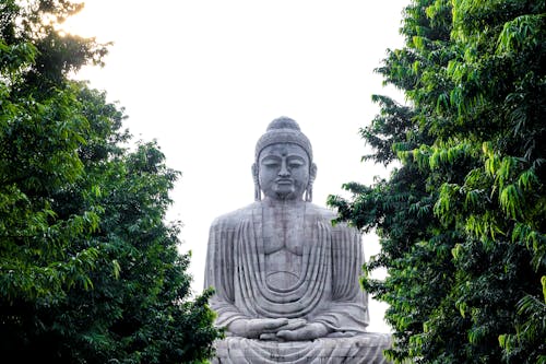 Foto profissional grátis de atração turística, bodh gaya, Buda